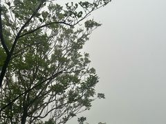 -五女山景区