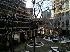 -鼎泰丰(Bellevue Square)