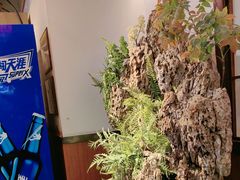 -成老灶火锅鸡(平山店)