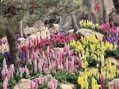 -沂蒙云瀑洞天景区