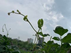 -晓港公园