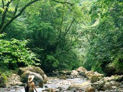 -西岭雪山大飞水景区