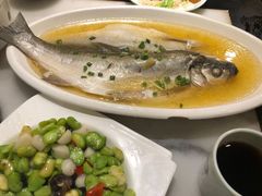 清蒸白鱼-京城小江南·土菜馆·蒸白鱼(东四十条店)