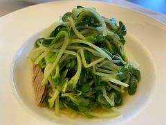 黑腐竹豆苗-北京厨房(西安SKP店)