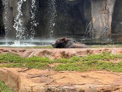 -海南热带野生动植物园