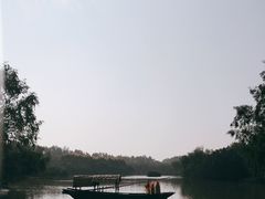 -大湾区中央湿地公园