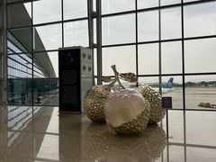 -广州白云国际机场-T2航站楼