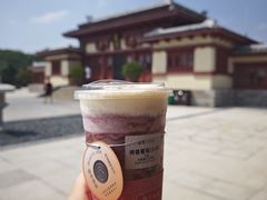 -洛阳古墓博物馆