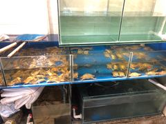 水产区-帅哥买单(龙港店)