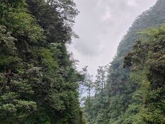 -峨眉山风景名胜区