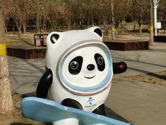 -永定河休闲森林公园