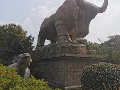 -华西村
