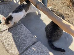 -慕田峪长城