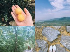 -北京鹫峰国家森林公园
