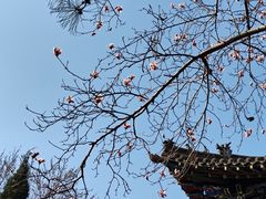-碑林公园