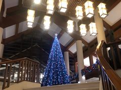 -亚龙湾喜来登·美景台大堂吧