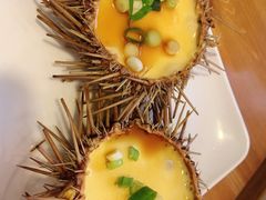海胆蒸蛋-海胆小馆(春柳店)