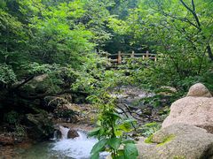 -本溪汤沟绿石谷森林公园