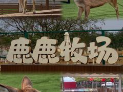 -盈香心动乐园