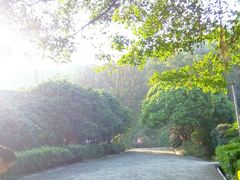 android_upload_pic-南沙天后宫景区