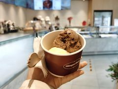 比利时巧克力单球-哈根达斯(国瑞店)