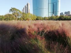 -艾溪湖湿地公园