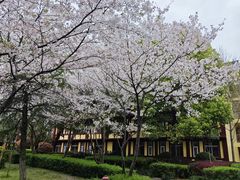 -庐山风景名胜区-东林大佛