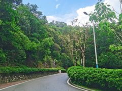 -火炉山森林公园