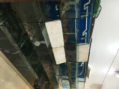 胖大嫂渔家排档-胖大嫂渔家排档(半边山店)