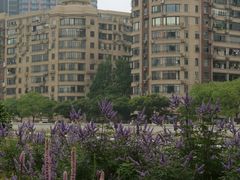 -苏州河梦清园环保主题公园