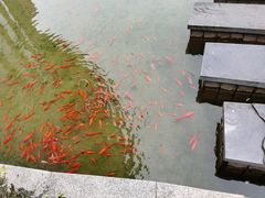 -洪湖悦兮半岛国际温泉度假村