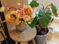 -HUATA 'Holiday Plan 花榻
