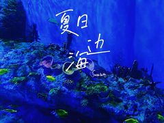 -海合安成都极地海洋公园
