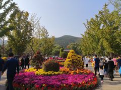 -晋祠公园