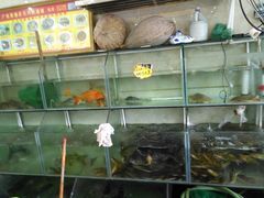 水产区-巨元河鲜酒楼·清远特色菜名店(英德店)
