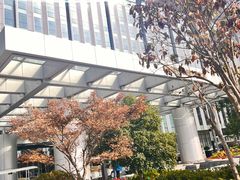 -国家会展中心上海洲际酒店