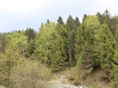 -硗碛藏寨·神木垒景区