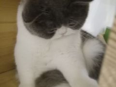 -万小咖.猫咖(中山路天虹店)