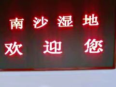 -大湾区中央湿地公园