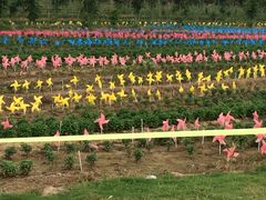 -海底捞火锅(亲子主题北金鹰店)