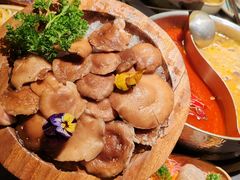 -季季山·云南野生菌火锅(上海首店)