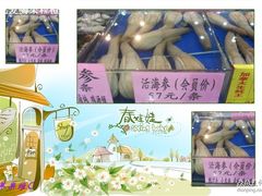 -神洲四海大酒楼(王府井澳门中心店)