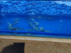 -芭菲盛宴·环球美食(北城国际店)