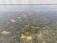 -尚贤河湿地