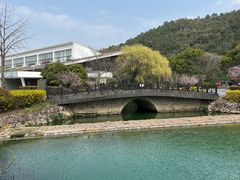-树山生态村