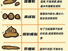 -纳吉亚猫专科动物医院博雅分院