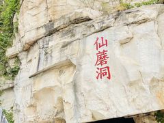 -仙蘑洞