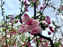 -兰溪青年公园