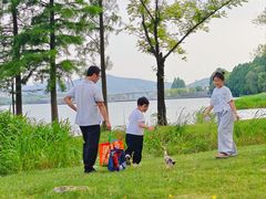 -高子水居