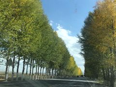 -扁都口生态休闲旅游区